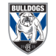 Bulldogs Announce 2020 Junior Representative Squads