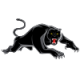 Penrith Panthers