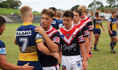 roosters and eels sharks hands
