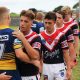 roosters and eels sharks hands