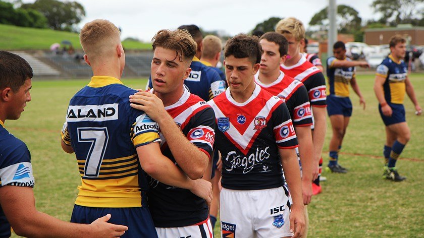 roosters and eels sharks hands
