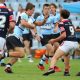 Lachlan Crossle flys up Shark Park in Rnd 6 of the Harold Matthews Cup (Photo : Steve Montgomery)