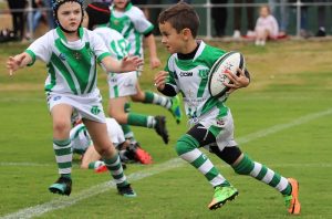 Little Gorilla's put on a demonstration game for Mayor Carmelo Pesceand the Gymea faithful (Photo : Steve Montgomery)