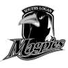 Souths Logan Magpies