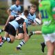 Sharks invite expression of interest for Junior Academy staff (Photo : Steve Montgomery)