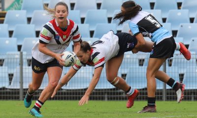CC Roosters & the North Sydney Bears will battle it out in the 2020 NSWRL Harvey Norman Women's Premiership Grand Final at Bankwest Stadium in 2 weeks (Photo : Steve Montgomery)