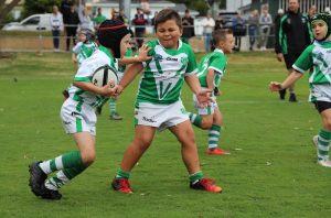 Cronulla Junior League 2020 Grand Finals Draw (Photo : Steve Montgomery)