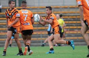 Tigers in action at Leichhardt Oval (Photo : Steve Montgomery)