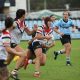 Central Coast Roosters Claim Minor Premership With Win Over Bears
