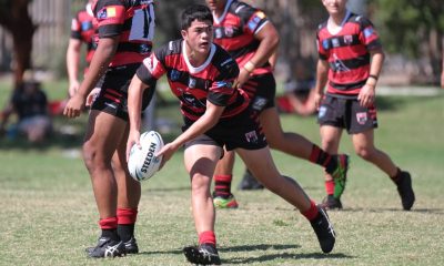 North Sydney Bears SG Ball trial Player list Bears SG Ball in action v Cronulla Sharks (Photo : Steve Montgomery)