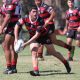 North Sydney Bears SG Ball trial Player list Bears SG Ball in action v Cronulla Sharks (Photo : Steve Montgomery)
