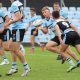 Sharks Taj Brailey unloads to a running Zane Watson in Round 4 of Harold Matthews Cup against the Balmain Tigers at Shark park (Photo : Steve Montgomery)