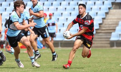 North Sydney Bears Mattys Cup Halfback looking for support in round 3 v Sharks at Shark Park (Photo : Steve Montgomery)