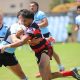 Nth Sydney Bears in action against the Sharks in Riund 3 at Shark Park (Photo : Steve Montgomery Sports Photography)