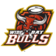 wide bay bulls logo
