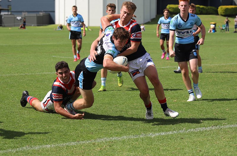Cronulla Sharks Ricardo Oloapu dives in for a strong try in last weeks loss in rnd 5 to the Roosters at Wyong (Photo : Steve Montgomery)