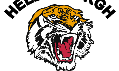 helensburg tigers logo