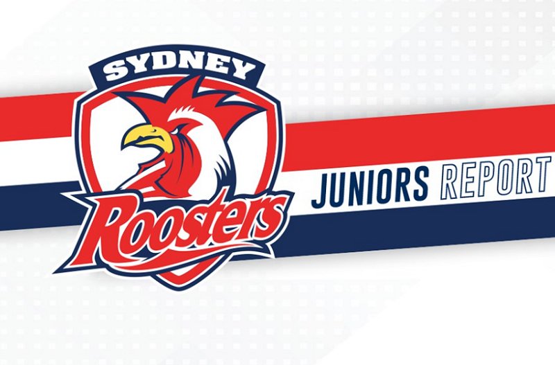 Sydney roosters Juniors Report