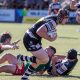 Tweed Seagulls will get it on with defending Champ's the Townsvile Blackhawks in the Grand Final