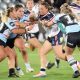 2021 HNWP Grand Final CC Roosters v Mounties July 24 (Photo : Steve Montgomery)