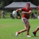 Do you want to play for the Illawarra Steelers in 2022 (Photo : Steve MOntgomery)