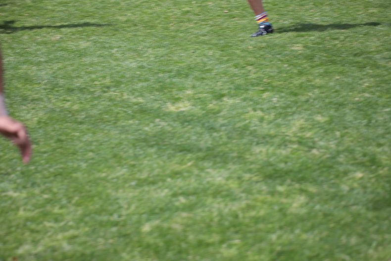 Cronulla Junior League – U14 Gold – Grand Final – De_la_Salle_v_Gymea_Gorillas