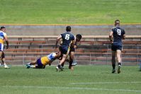 2020 Schoolboy Cup Grand Final 2nd HALF Westfields SHS v Patrician Bro’s