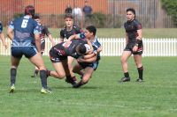 Schoolboy Cup – Rnd 1 – Endeavour SHS v Matraville SHS