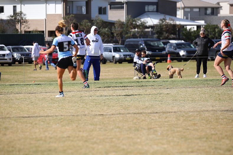2020 Harvey Norman Women’s Premiership – R 6 – Sharks v Roosters