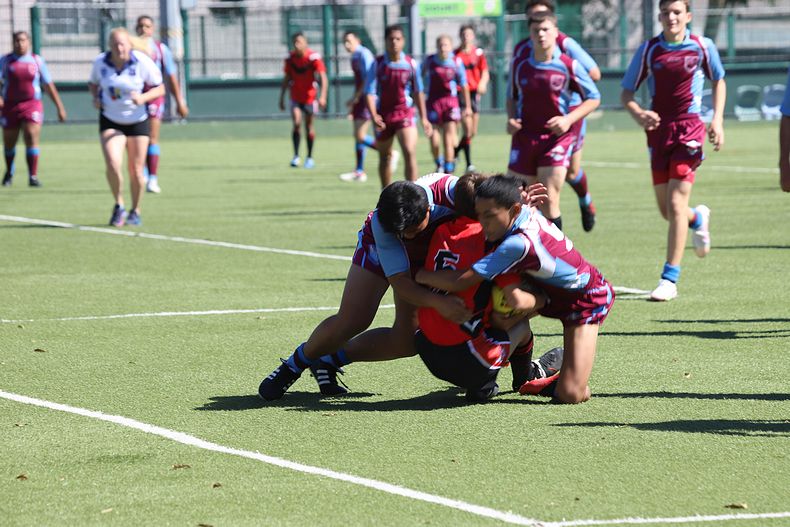 Buckley Shield Rnd 1 Endeavour SHS v The Hills SHS