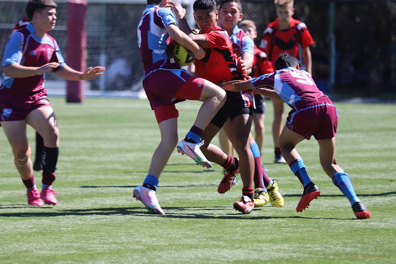 Buckley Shield Rnd 1 Endeavour SHS v The Hills SHS
