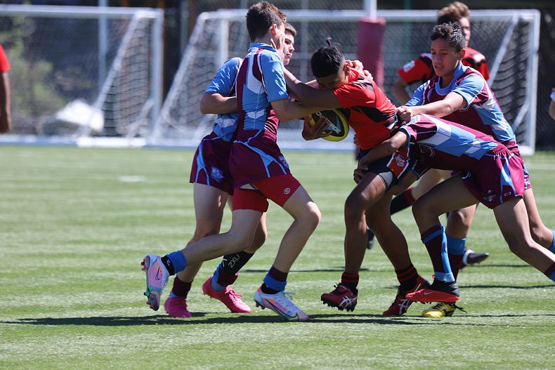 Buckley Shield Rnd 1 Endeavour SHS v The Hills SHS
