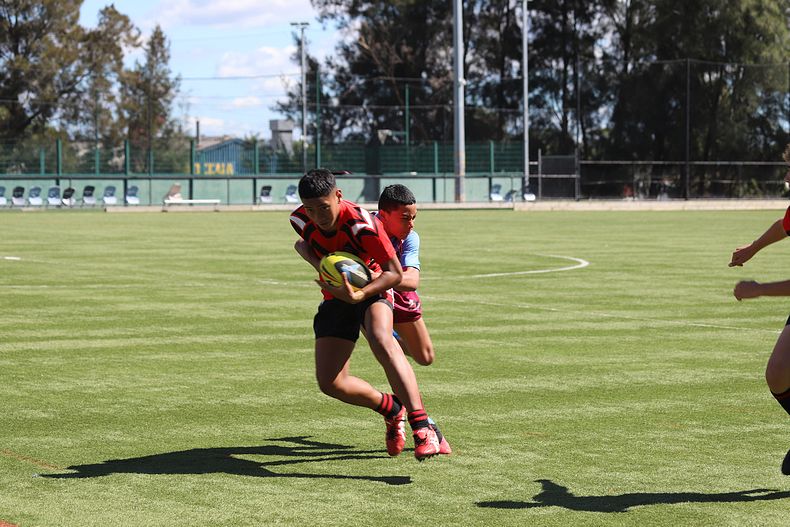 Buckley Shield Rnd 1 Endeavour SHS v The Hills SHS