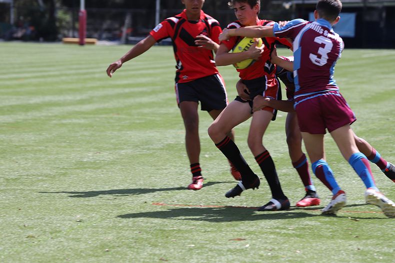 Buckley Shield Rnd 1 Endeavour SHS v The Hills SHS
