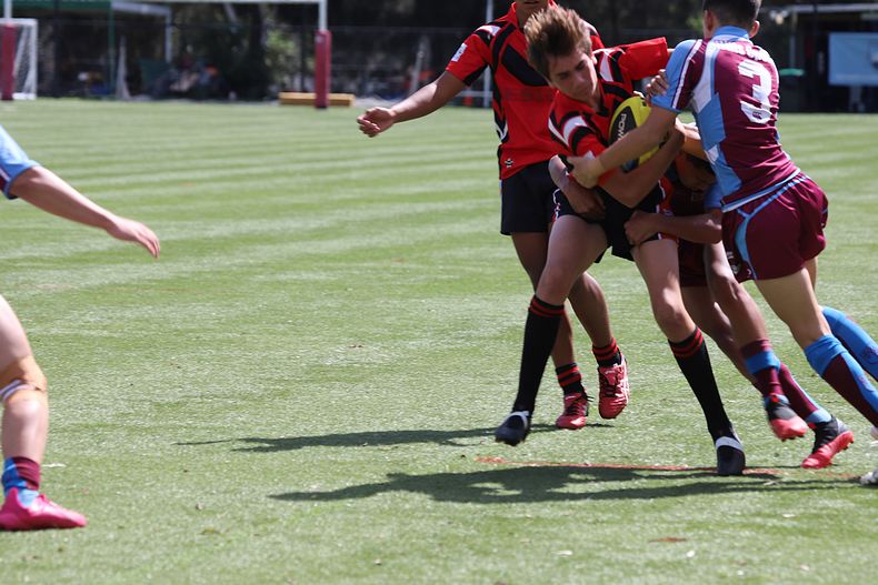 Buckley Shield Rnd 1 Endeavour SHS v The Hills SHS