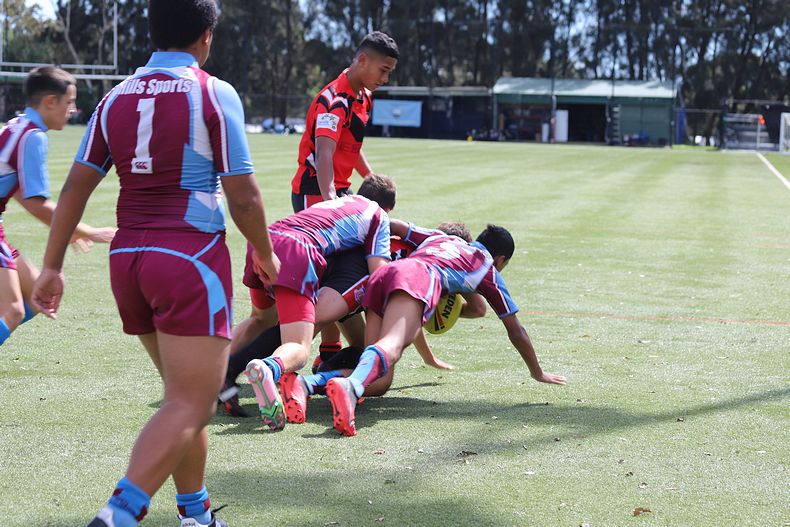 Buckley Shield Rnd 1 Endeavour SHS v The Hills SHS
