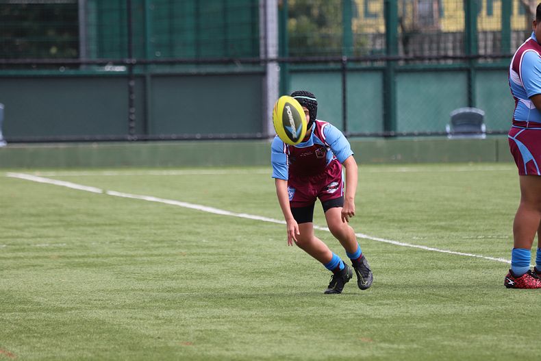 Buckley Shield Rnd 1 Endeavour SHS v The Hills SHS