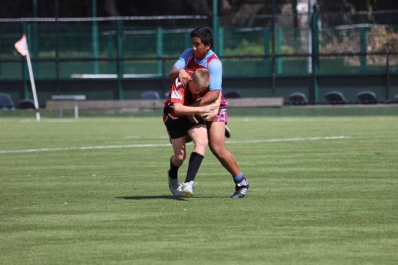 Buckley Shield Rnd 1 Endeavour SHS v The Hills SHS