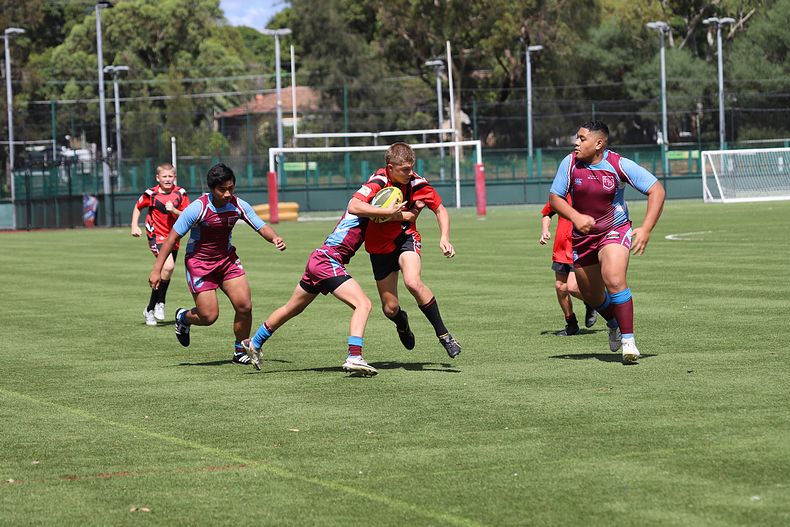 Buckley Shield Rnd 1 Endeavour SHS v The Hills SHS
