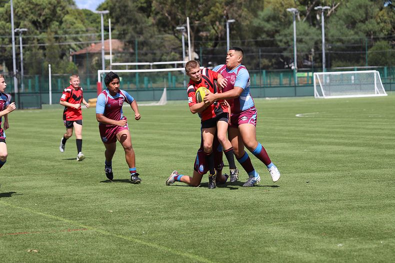 Buckley Shield Rnd 1 Endeavour SHS v The Hills SHS