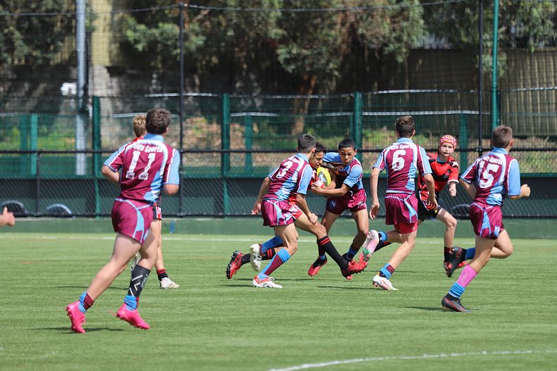 Buckley Shield Rnd 1 Endeavour SHS v The Hills SHS