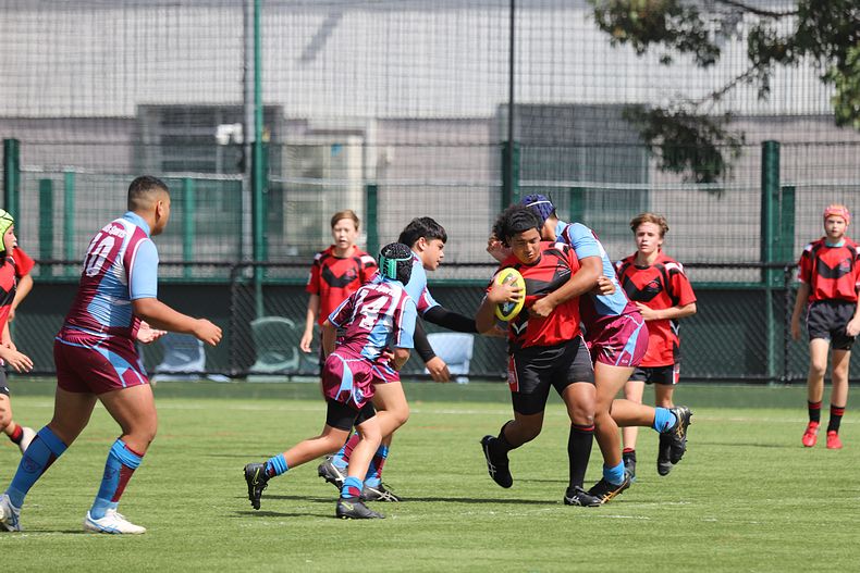 Buckley Shield Rnd 1 Endeavour SHS v The Hills SHS