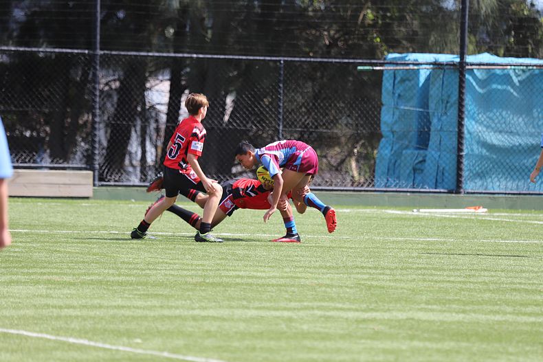 Buckley Shield Rnd 1 Endeavour SHS v The Hills SHS
