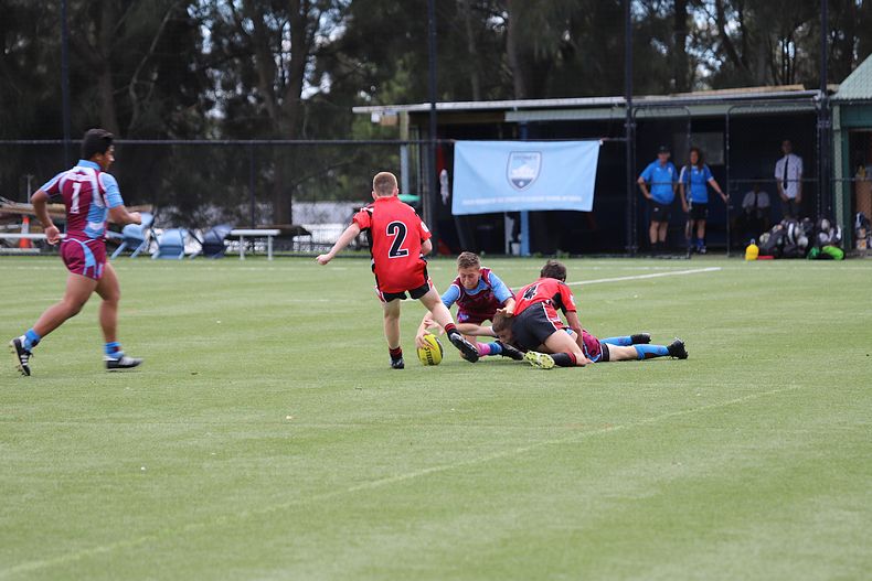 Buckley Shield Rnd 1 Endeavour SHS v The Hills SHS