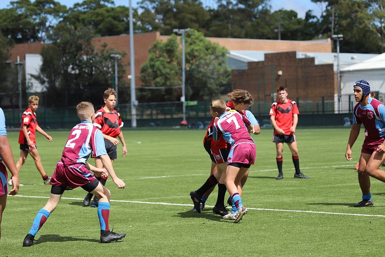 Buckley Shield Rnd 1 Endeavour SHS v The Hills SHS
