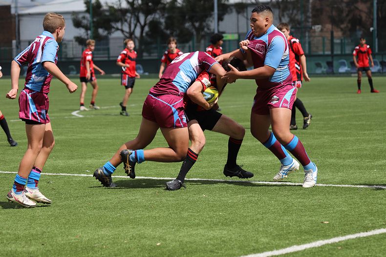 Buckley Shield Rnd 1 Endeavour SHS v The Hills SHS