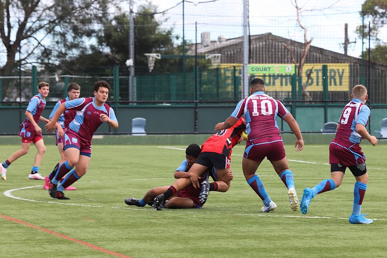 Buckley Shield Rnd 1 Endeavour SHS v The Hills SHS