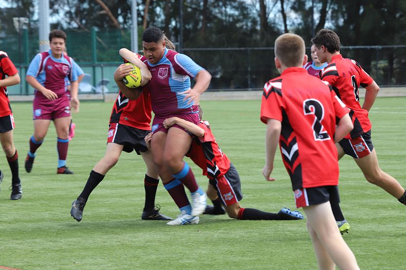 Buckley Shield Rnd 1 Endeavour SHS v The Hills SHS