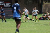 Endeavour Gala Day – u14s – Hunter v Illawarra