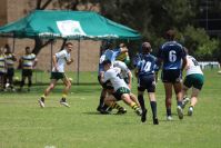 Endeavour Gala Day – u14s – Hunter v Illawarra